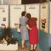 Consultation display.